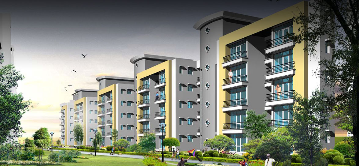 Building Contractor in siroli